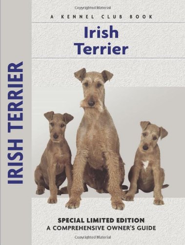 Irish Terrier