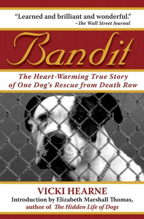 Bandit: The Heart-Warming Story of One Dog's Rescue From Death Row