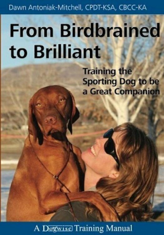 From Birdbrained To Brilliant - Training The Sporting Dog To Be A Great Companion