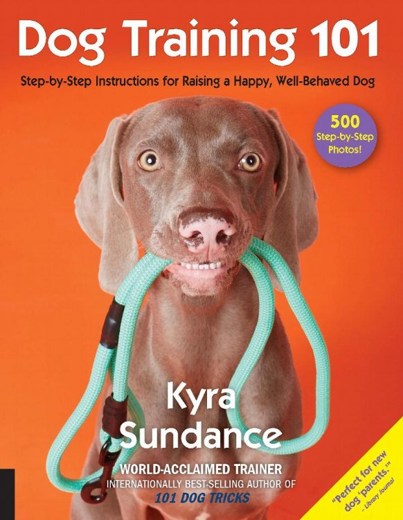 Dog Training 101 (Dog Tricks and Training, Volume 6)