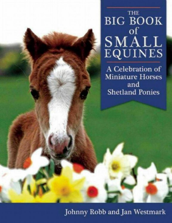The Big Book of Small Equines : A Celebration of Miniatures and Shetlands