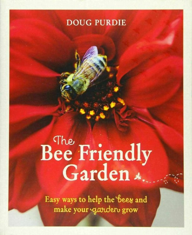 The Bee Friendly Garden