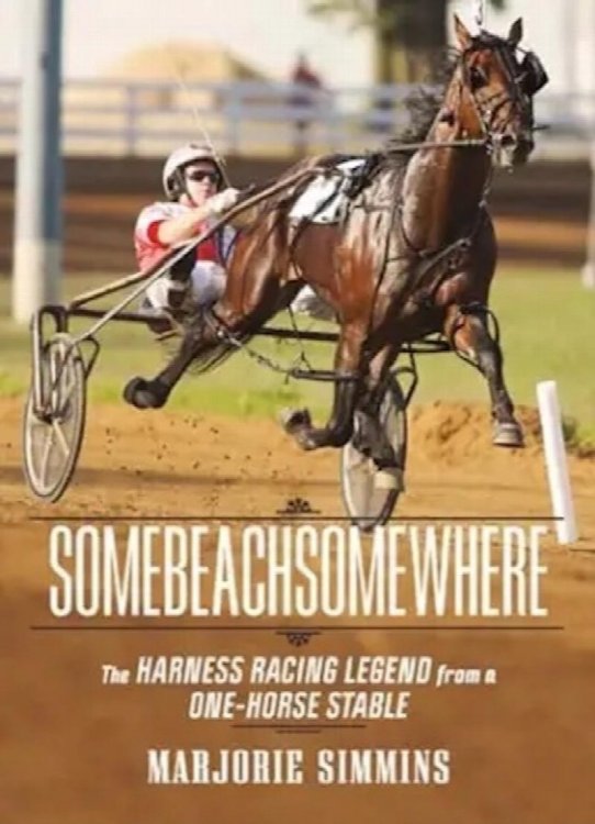 SomeBeachSomeWhere: A Harness Racing Legend