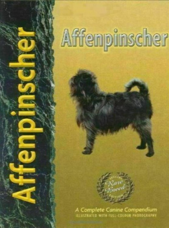 Affenpinscher