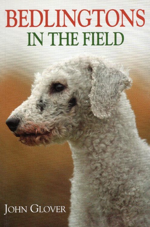 Bedlingtons in the Field