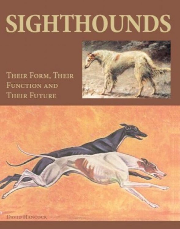 Sighthounds: Their Form, Their Function and Their Future