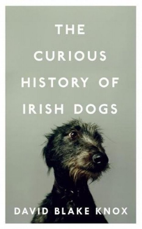 The Curious History of Irish Dogs