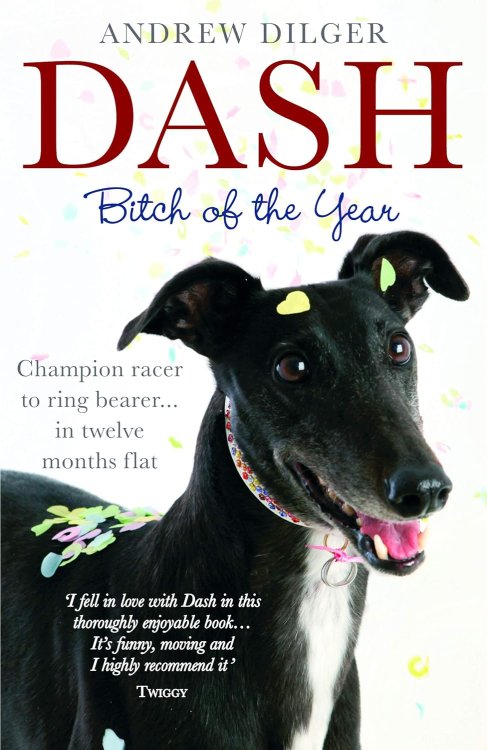 Dash: Bitch of the Year