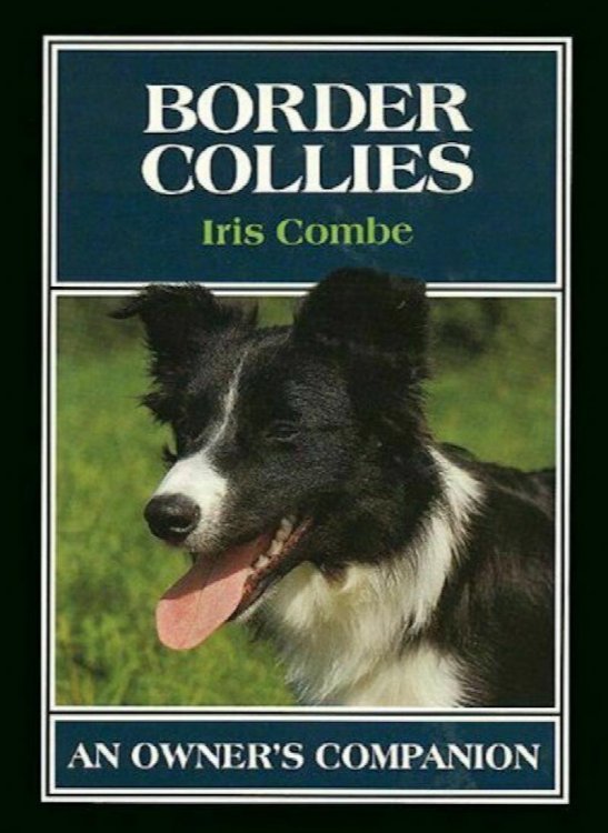 Border Collies: An Owners Companion