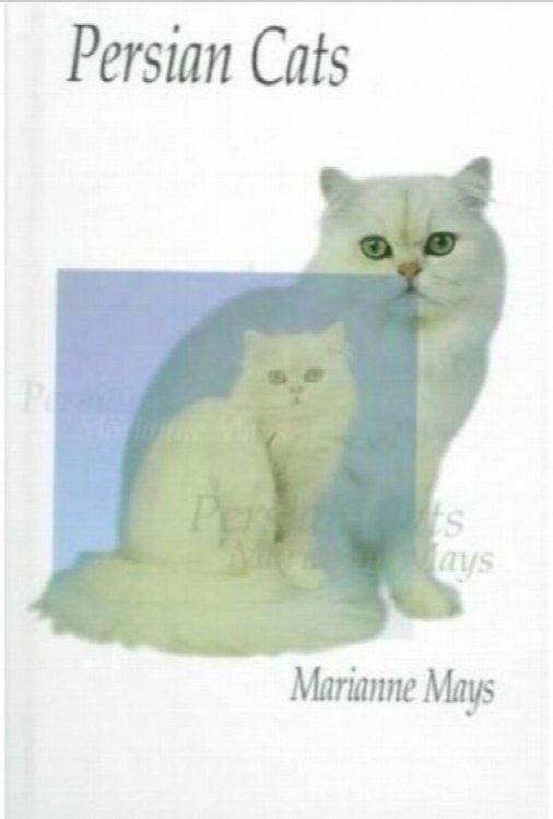 Persian Cats