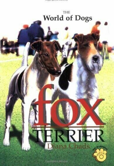 Fox Terrier: The World of Dogs