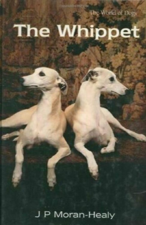 The Whippet