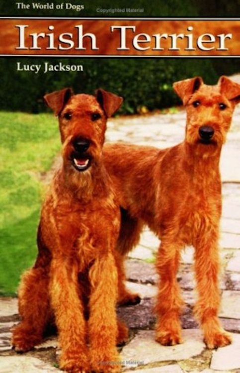 Irish Terrier: World of Dogs