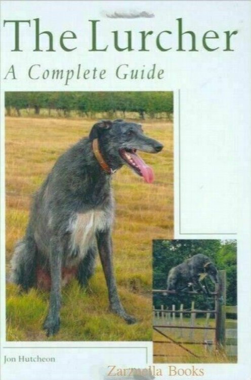 The Lurcher: A Complete Guide