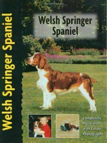 Welsh Springer Spaniel