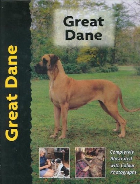 Great Dane