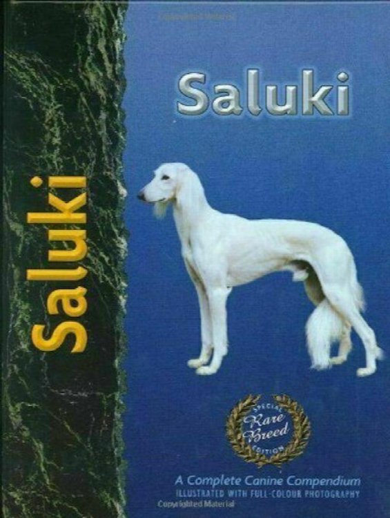 Saluki