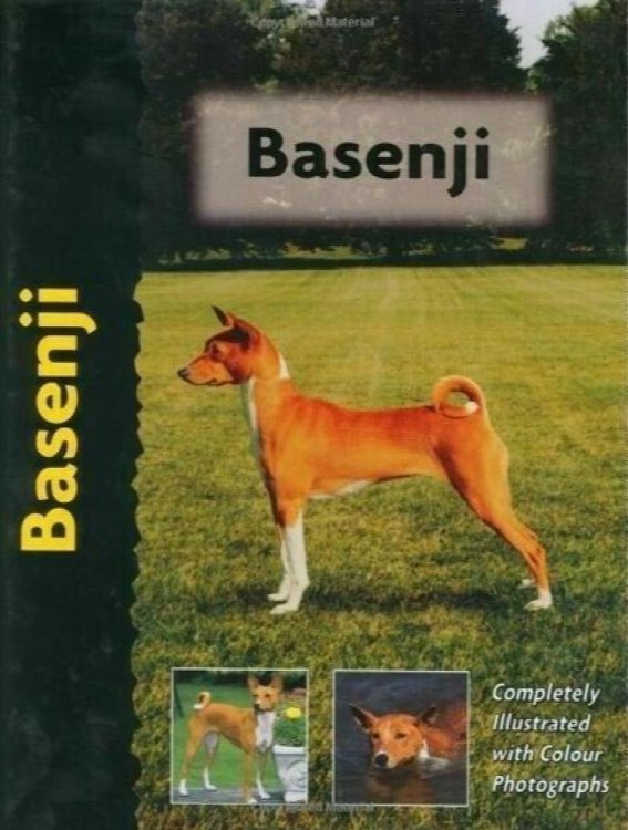Basenji