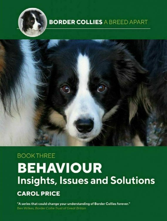 Border Collies A Breed Apart Book 3: Behaviour: Insights, Issues & Solutions