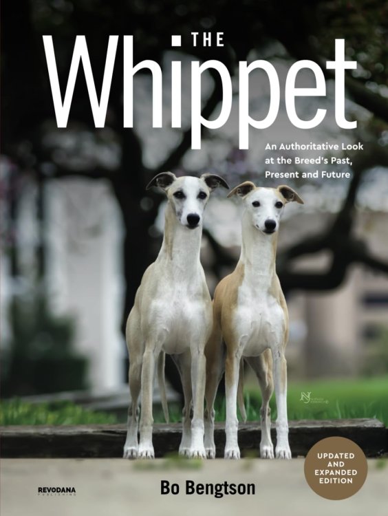 The Whippet: An Authoritative Look at the Breed's Past, Present and Future