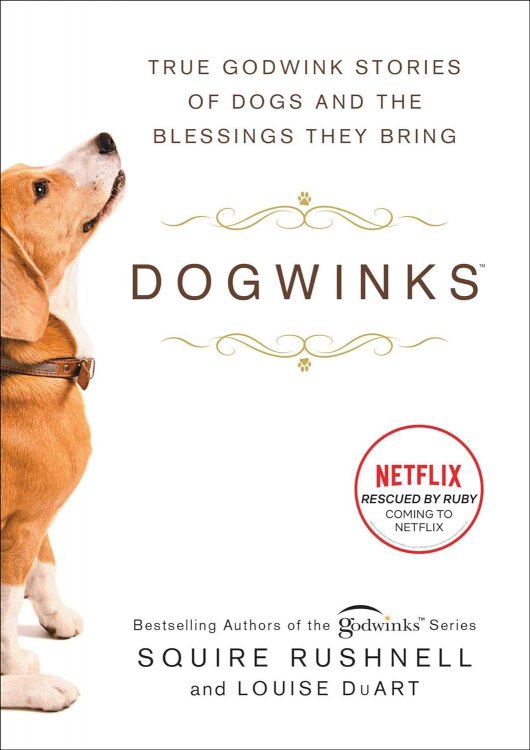 Dogwinks: True Godwink Stories of Dogs and the Blessings They Bring