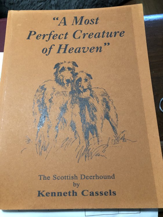 A Most Perfect Creature of Heaven The Scottish Deerhound