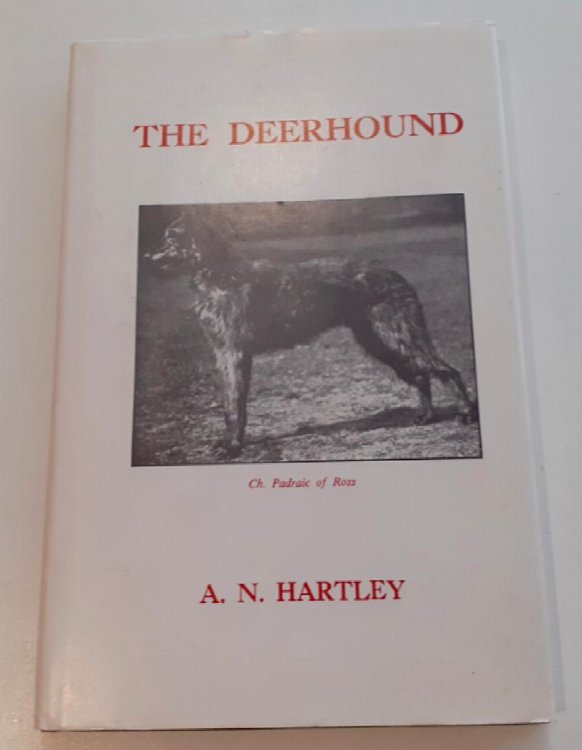 The Deerhound
