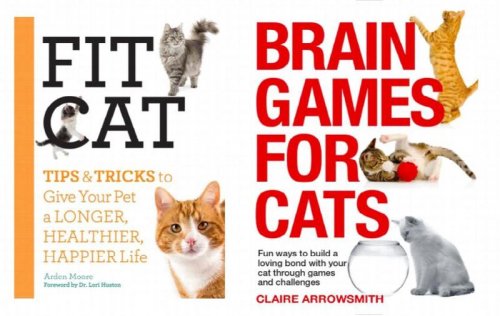 Lot of Two New CAT Books : Fit Cat and Brain Games for Cats