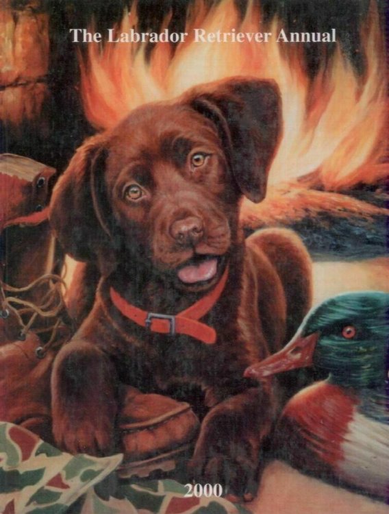 The Labrador Retriever Annual 2000