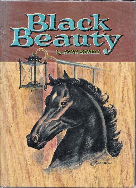 BLACK BEAUTY.