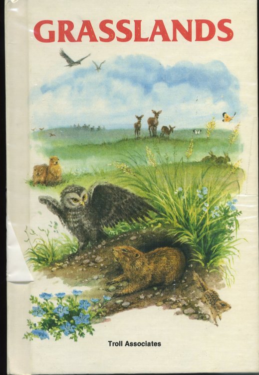 GRASSLANDS.