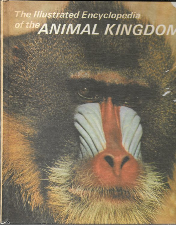 THE ILLUSTRATED ENCYCLOPEDIA OF THE ANIMAL KINGDOM