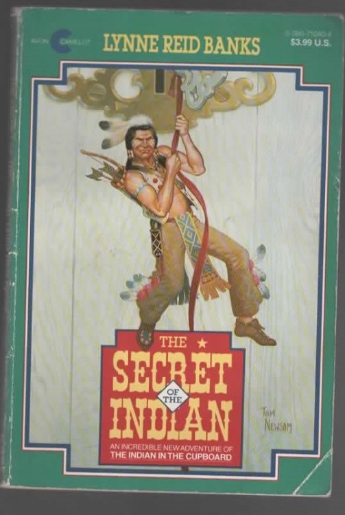 THE SECRET INDIAN