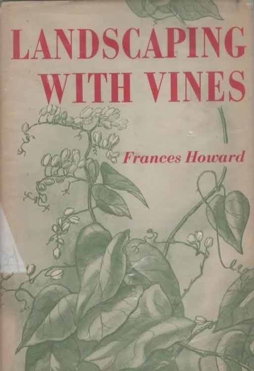 LANDSCAPING WITH VINES.