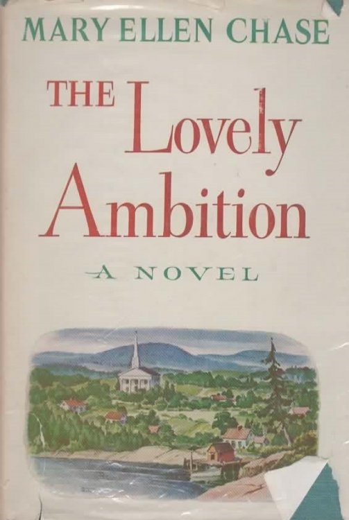 THE LOVELY AMBITION.