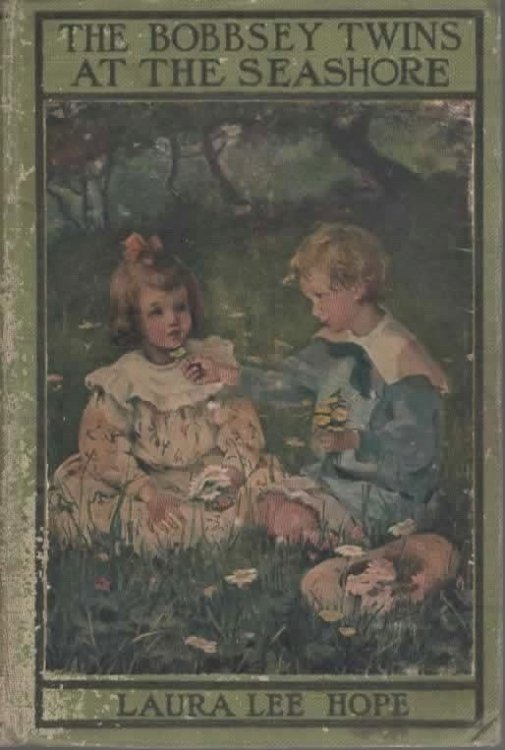 THE BOBBSEY TWINS AT THE SEASHORE.