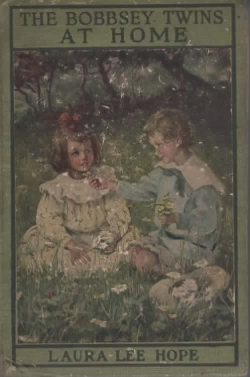 THE BOBBSEY TWINS AT HOME.
