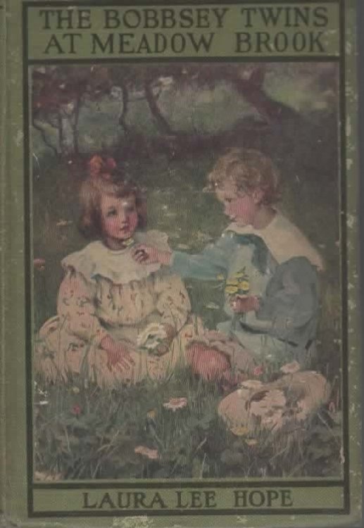 THE BOBBSEY TWINS AT MEADOW BROOK.