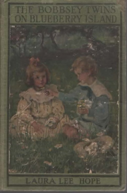 THE BOBBSEY TWINS ON BLUEBERRY ISLAND.