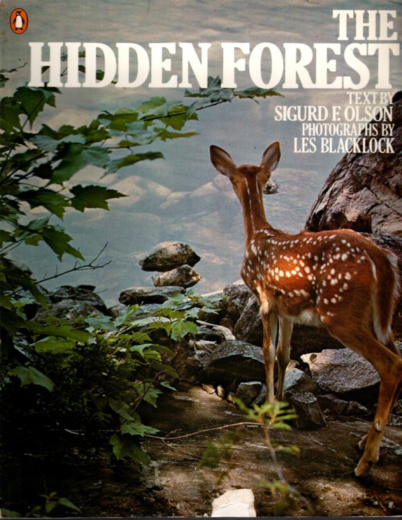 THE HIDDEN FOREST