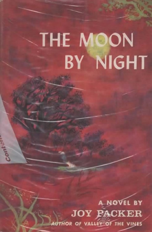 THE MOON BY NIGHT.
