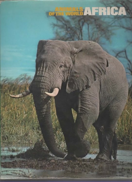 ANIMALS OF THE WORLD: AFRICA.