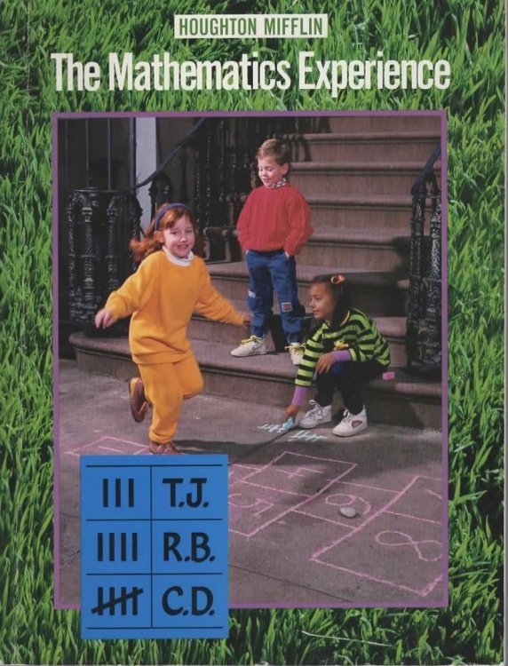 THE MATHEMATICS EXPERIENCE