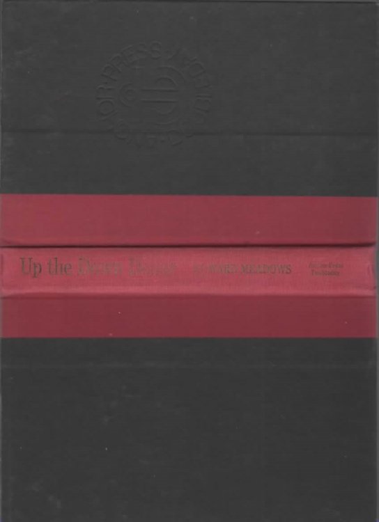 UP THE DOWN DOLLAR A Realist's Guide to the Marketplace