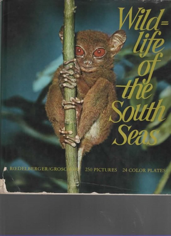 WILDLIFE OF THE SOUTH SEAS 250 Photographs, Illustrating the Animal Life of the Indo-Pacific, Indonesia, Australia and Galapagos