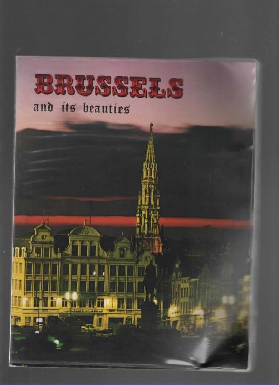 BRUSSELS AND ITS BEAUTIES