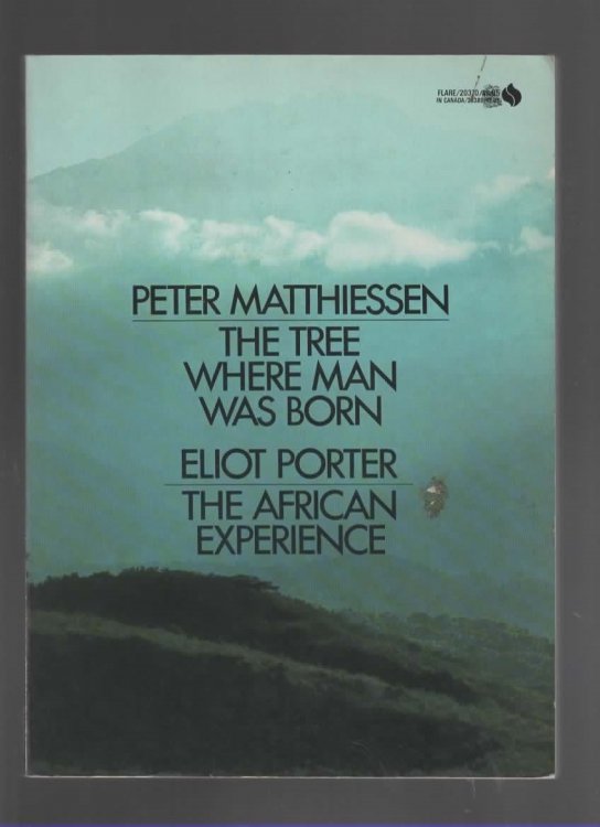 THE TREE WHERE MAN WAS BORN The African Experience