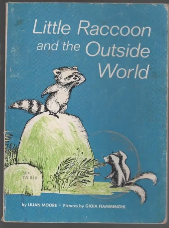 LITTLE RACCOON AND THE OUTSIDE WORLD