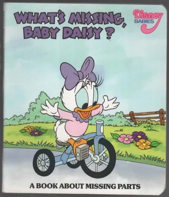 WHAT'S MISSING, BABY DAISY , A BOOK ABOUT MISSING PARTS