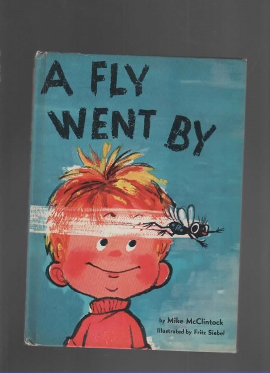 A FLY WENT BY